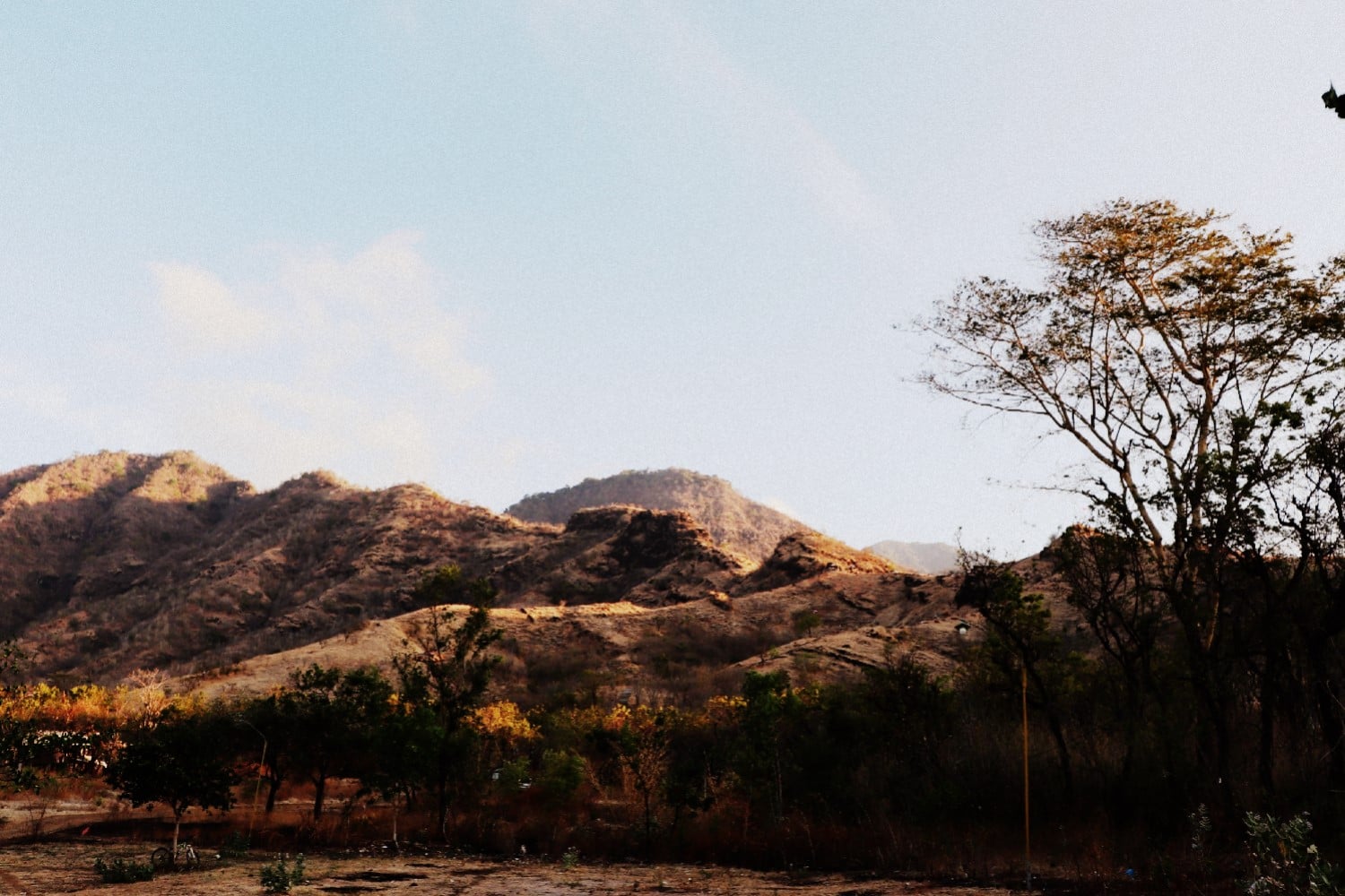 Dry savanna hills in West Bali National Park in late afternoon light, brown grass and scrub below a bare ridge